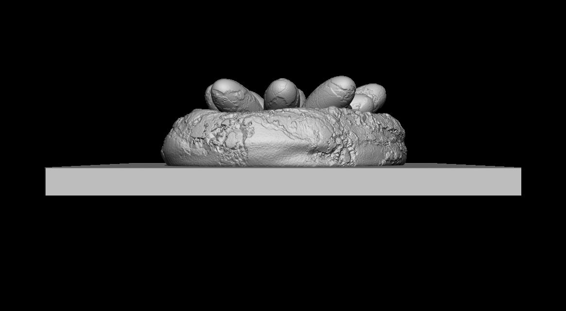 Dinosaur Nest With 10 Eggs Resin Model for Dungeons & Dragons | Board RPGs I Pre-Historic