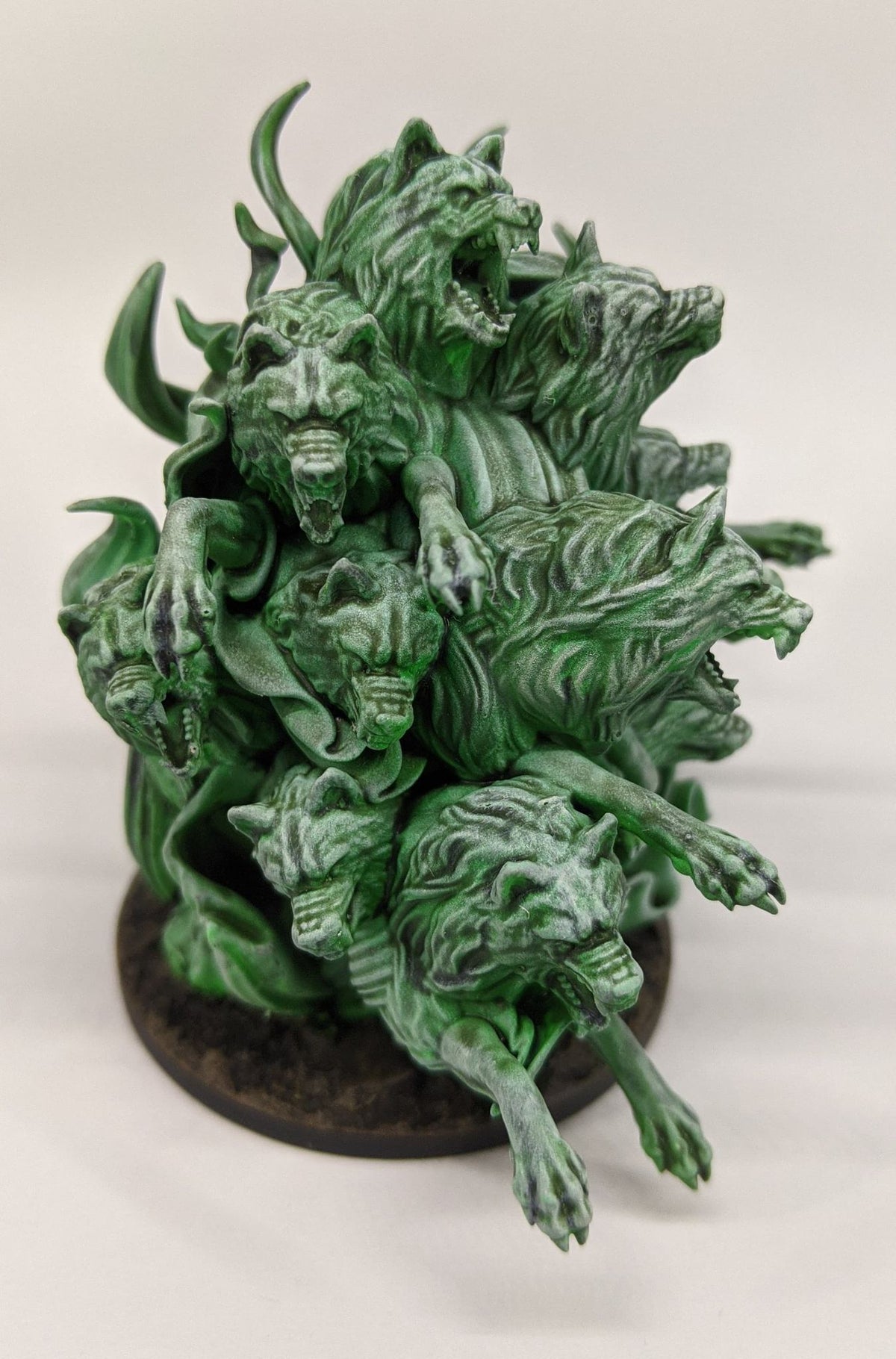 a close up of a green plant on a white background