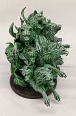 a close up of a green plant on a white background