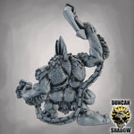Anchor Trolls - Image 4