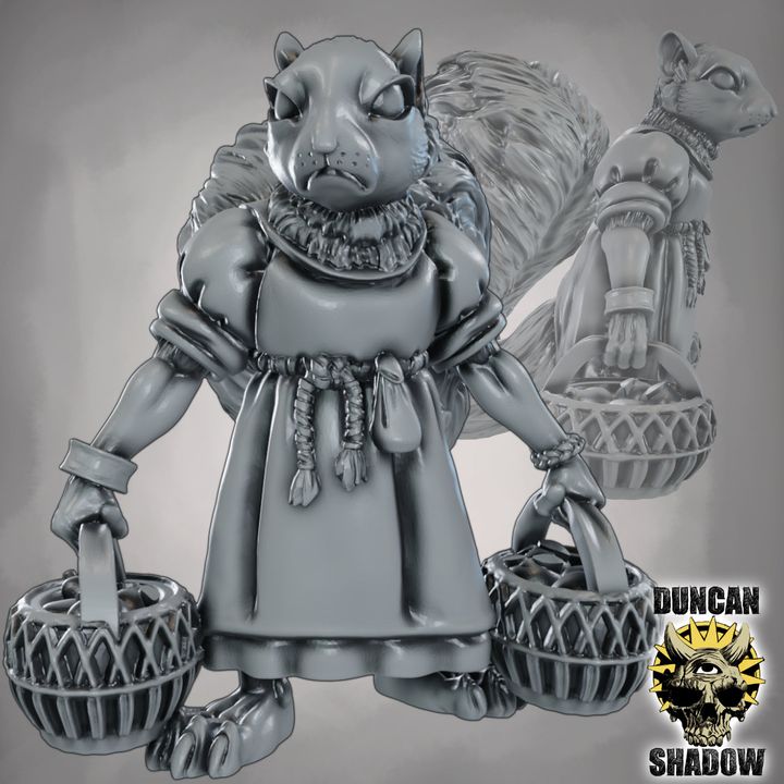 Female Squirrels Npc's Town folk - Image 5