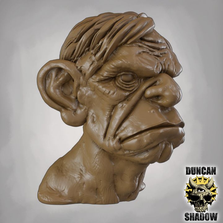 Older Male Bust - Image 4