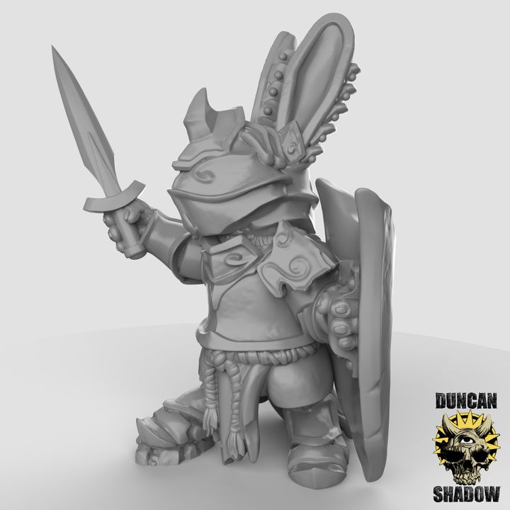 Rabbit Folk Paladin Resin Miniature Model for DnD | Tabletop Gaming