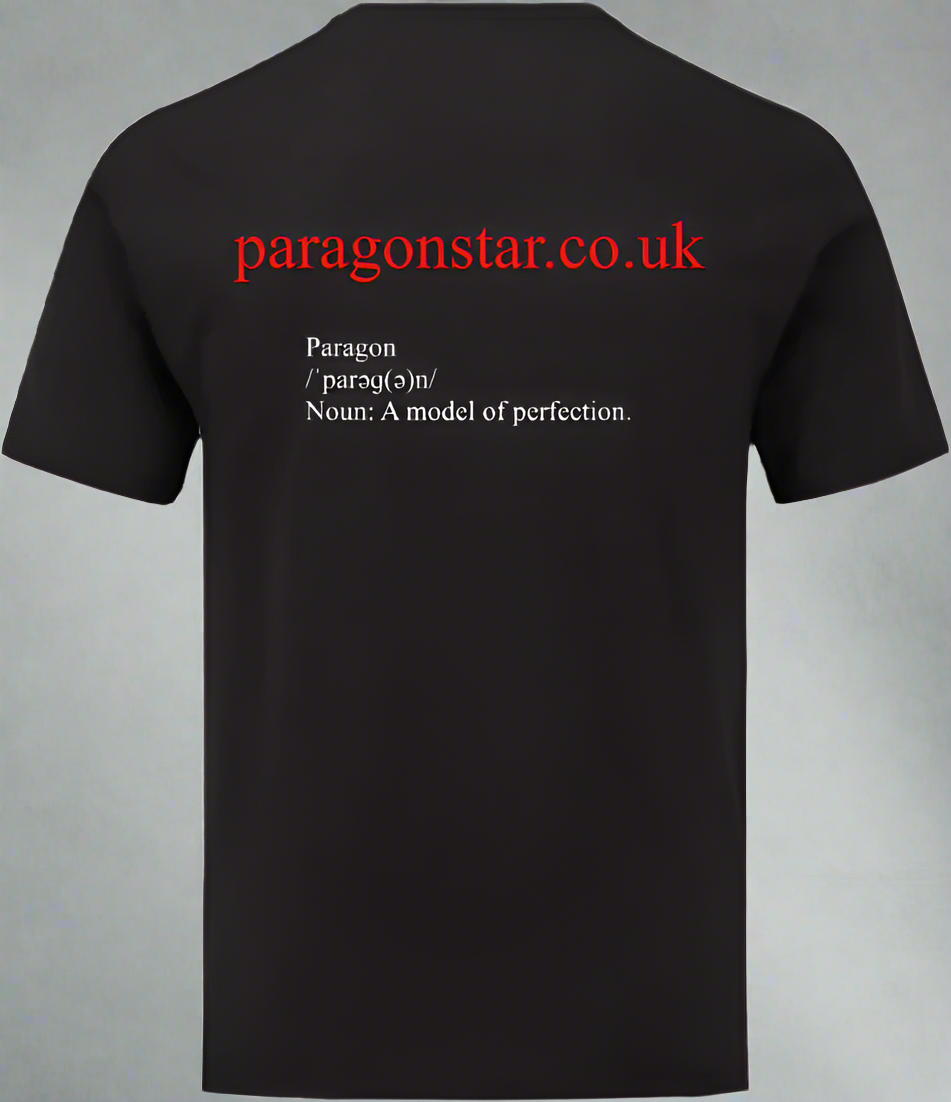 Paragon Star 'A Model Of Perfection' T-Shirt I RPG I Wizard I TTG