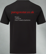 Paragon Star 'A Model Of Perfection' T-Shirt I RPG I Wizard I TTG