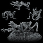REACHERBEAK - 3D Miniature Model | Dungeons and Dragons | Pathfinder | RPG