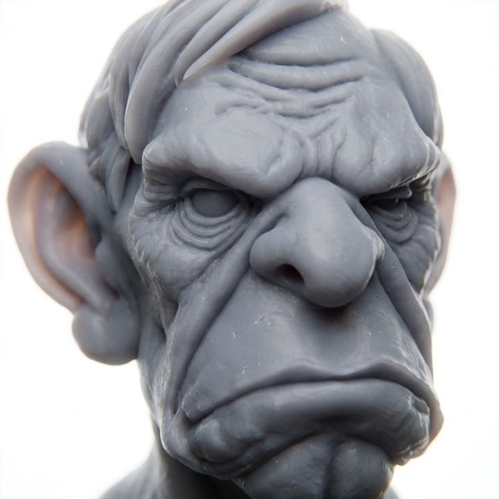 Older Male Bust - Display Bust | 1:4 Scale (~70mm)
