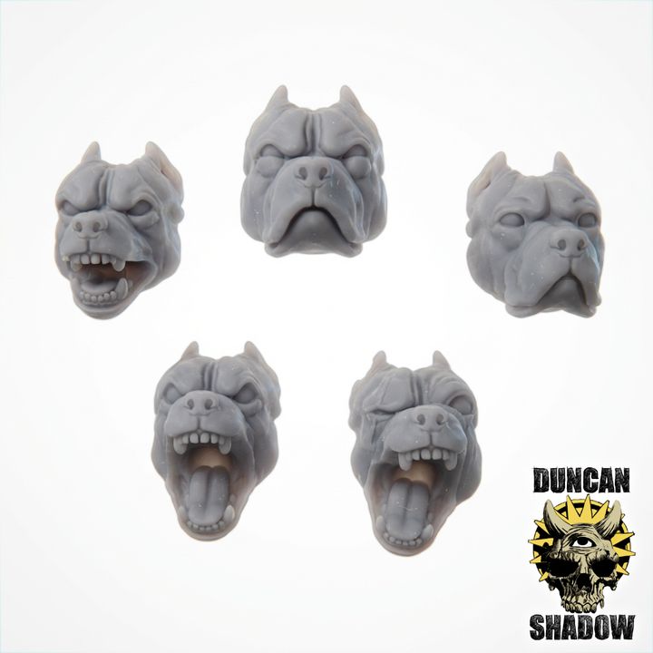 Pittbull Dog Heads - Kitbash Bits | Conversion Parts | 28mm