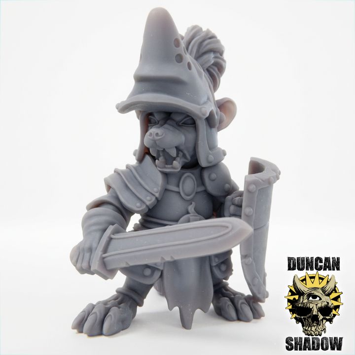 Raccoon Folk Champion with Sword and Shield | DnD Miniature | 28mm