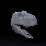 Rajasaurus Mount/Head Dinosaur Resin Model for Dungeons & Dragons | Board RPGs (Copy)