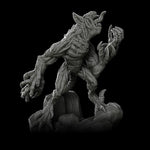 SKINSHEDDER - Miniature | Dungeons and dragons | Cthulhu | Pathfinder | War Gaming