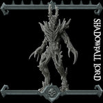 SHADOWFALL LORD - Miniature | All Sizes | Dungeons and Dragons | Pathfinder | War Gaming