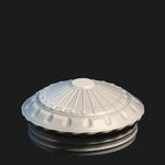 Lions Brew Themed Dice Box Storage Container