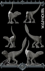 VELOCIRAPTORS Dinosaur- Miniature | All Sizes | Dungeons and Dragons | Pathfinder | War Gaming