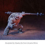 Tortle Monk - Pit Fighter Champion Miniature