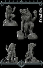 WEREWOLF - Miniature Model All Sizes | Dungeons and Dragons | Pathfinder | War Gaming