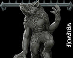 WEREWOLF - Miniature Model All Sizes | Dungeons and Dragons | Pathfinder | War Gaming