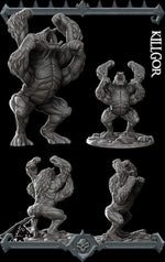 KILLIGOR - Miniature -All Sizes | Dungeons and Dragons | Pathfinder | War Gaming