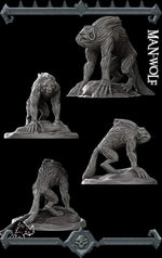 MAN-WOLF - Miniature -All Sizes | Dungeons and Dragons | Pathfinder | War Gaming IRPG