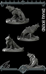DRAKE HOUND - Miniature | All Sizes | Dungeons and Dragons | Pathfinder | War Gaming