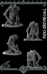 TWO HEADED OGRE - Miniature | All Sizes | Dungeons and Dragons | Pathfinder | War Gaming