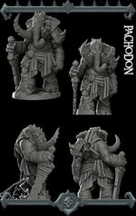 PACHODON - Miniature | All Sizes | Dungeons and Dragons | Pathfinder | War Gaming