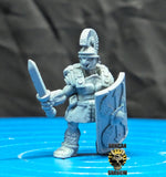 Tortol Fighters Resin Models for Dungeons & Dragons & Board RPGs