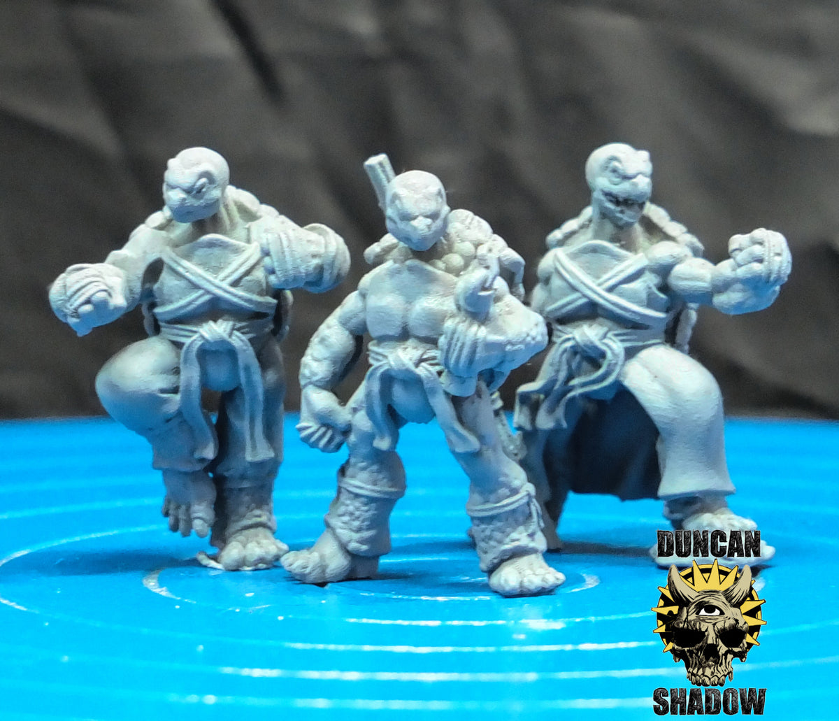 Tortol Monks Resin Models for Dungeons & Dragons & Board RPGs