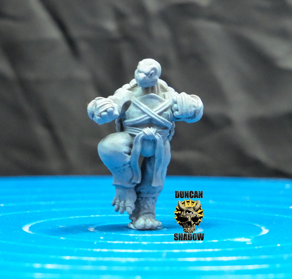 Tortol Monks Resin Models for Dungeons & Dragons & Board RPGs