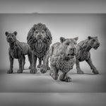 Lions Resin 3D Models for Dungeons & Dragons & Board RPGs