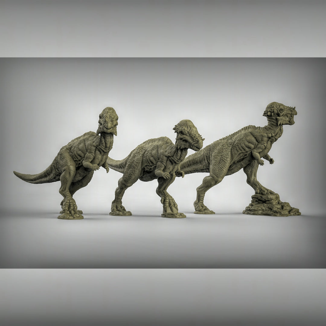 Pachycephalosaurus Dinosaurs Resin 3D Models for Dungeons & Dragons & Board RPGs