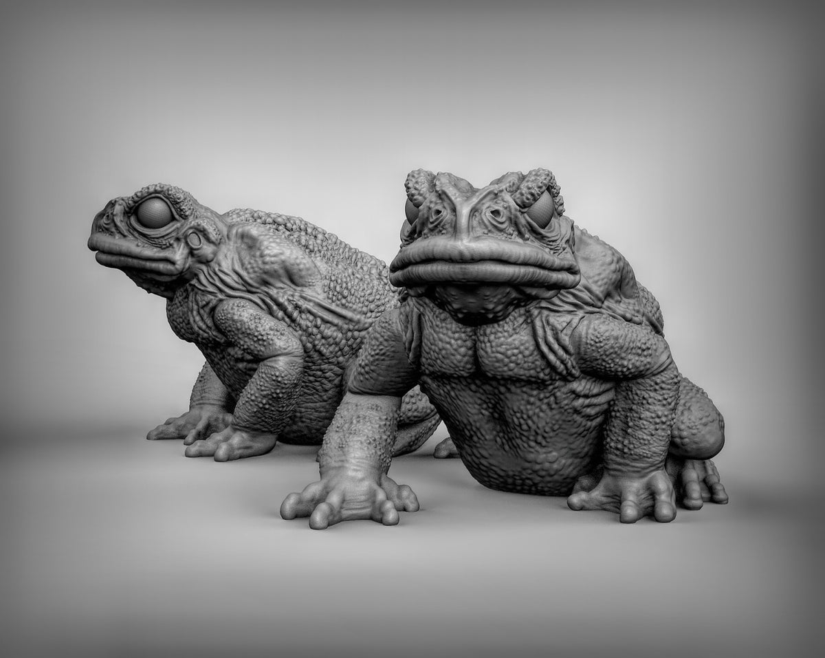 Giant Toads Resin Miniature for DnD | Tabletop Gaming