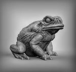 Giant Toads Resin Miniature for DnD | Tabletop Gaming
