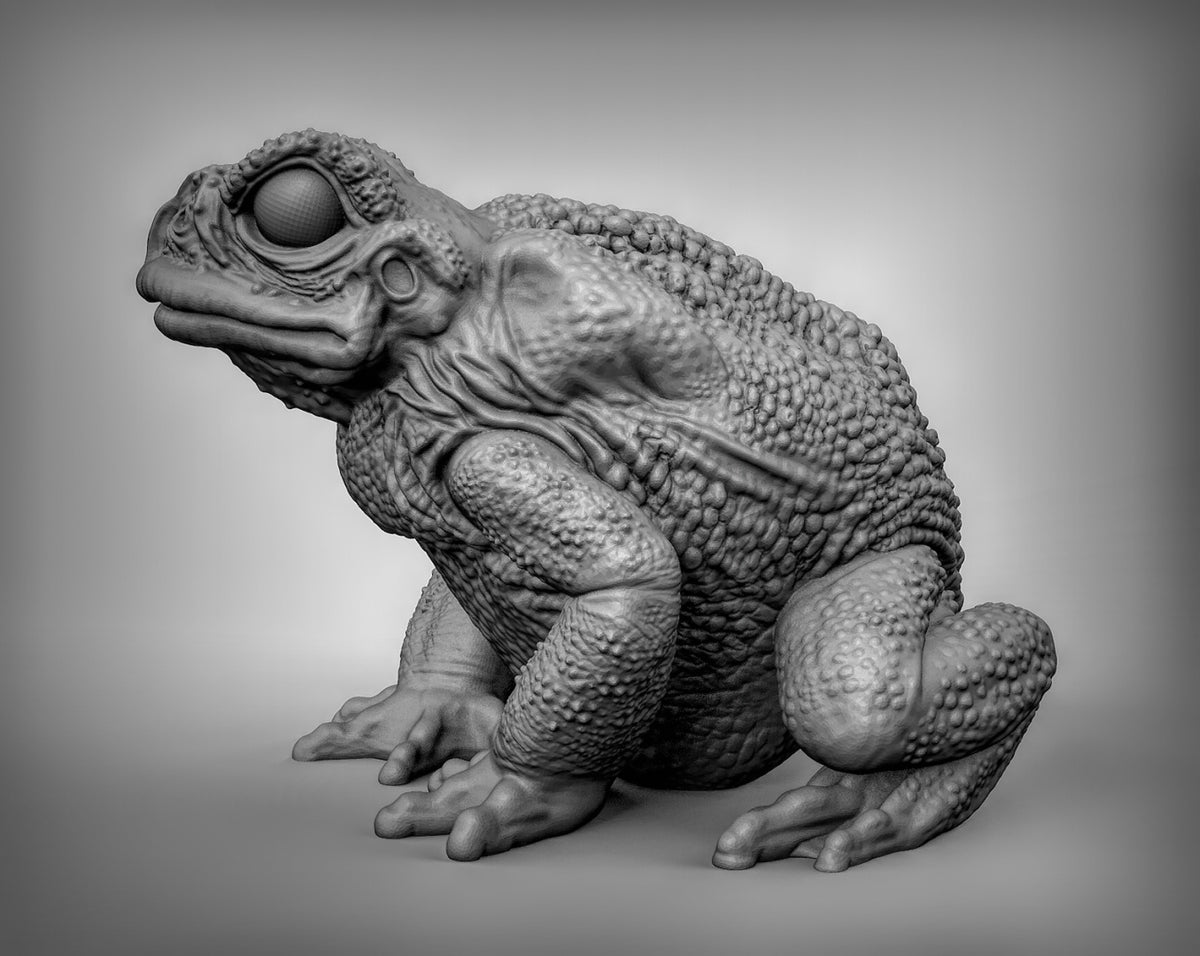 Giant Toads Resin Miniature for DnD | Tabletop Gaming
