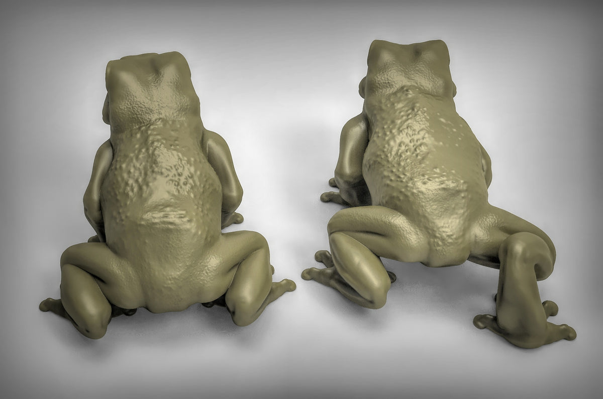 Giant Frogs Resin 3D Models for Dungeons & Dragons & Board RPGs