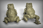 Giant Frogs Resin 3D Models for Dungeons & Dragons & Board RPGs