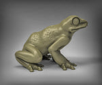 Giant Frogs Resin 3D Models for Dungeons & Dragons & Board RPGs