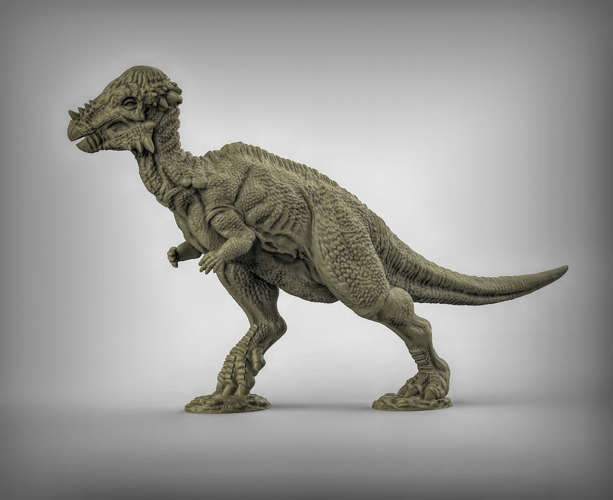 Pachycephalosaurus Dinosaurs Resin 3D Models for Dungeons & Dragons & Board RPGs