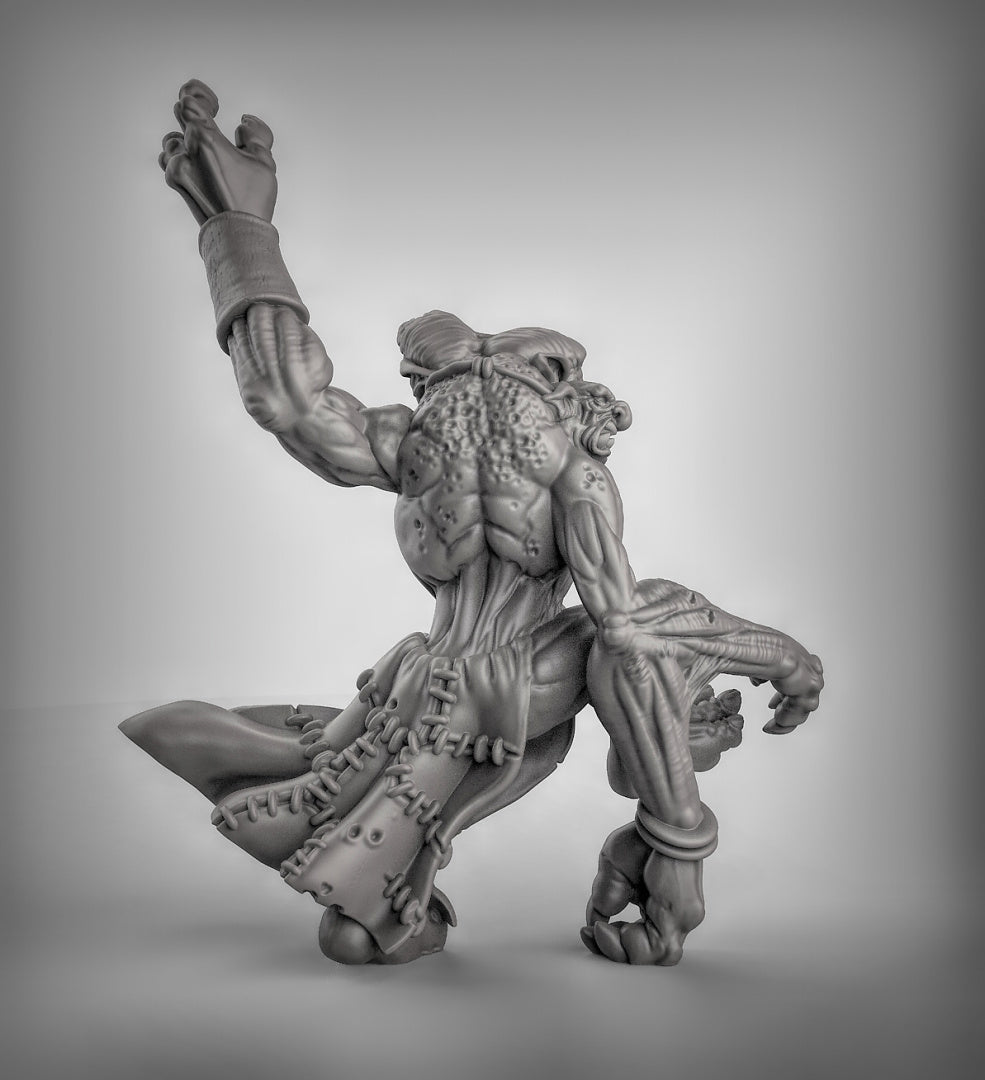 Dire Troll Resin 3D Models for Dungeons & Dragons & Board RPGs