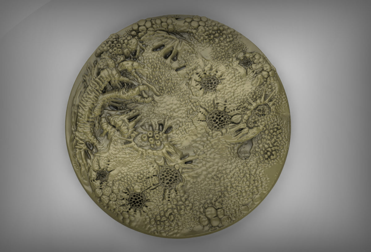 Plague Bases Resin 3D Models for Dungeons & Dragons & Board RPGs