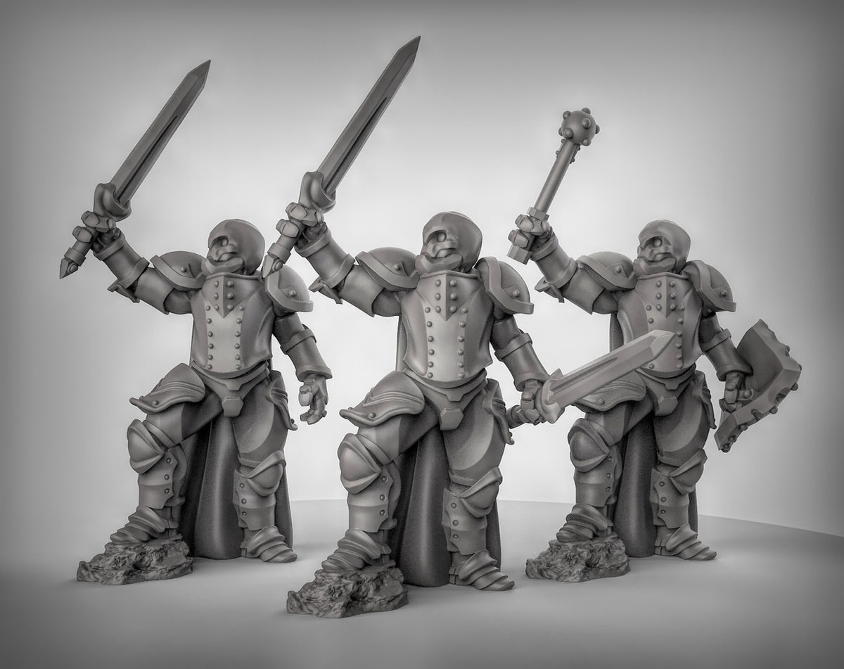 Warforged Fighters 2 Resin Miniature for DnD | Tabletop Gaming