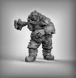 Ogre Boss Resin 3D Models for Dungeons & Dragons & Board RPGs