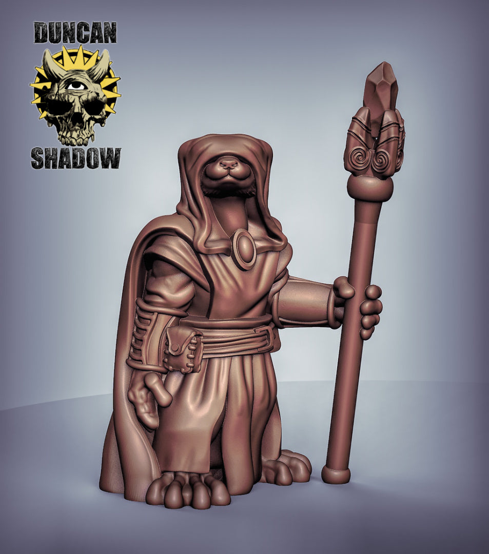 Otter Wizard 3D Models for Dungeons & Dragons & Board RPGs by Duncan Shadow