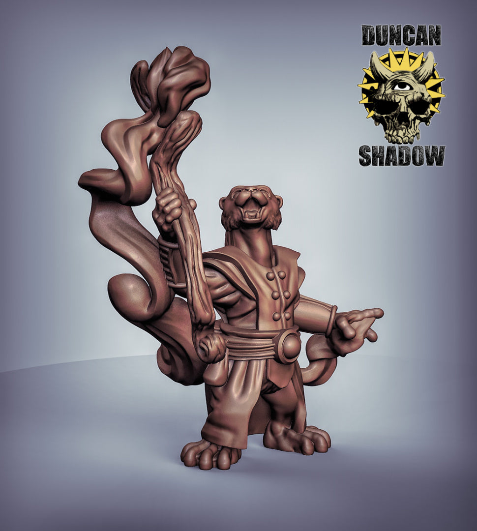 Otter Wizard 3D Models for Dungeons & Dragons & Board RPGs by Duncan Shadow