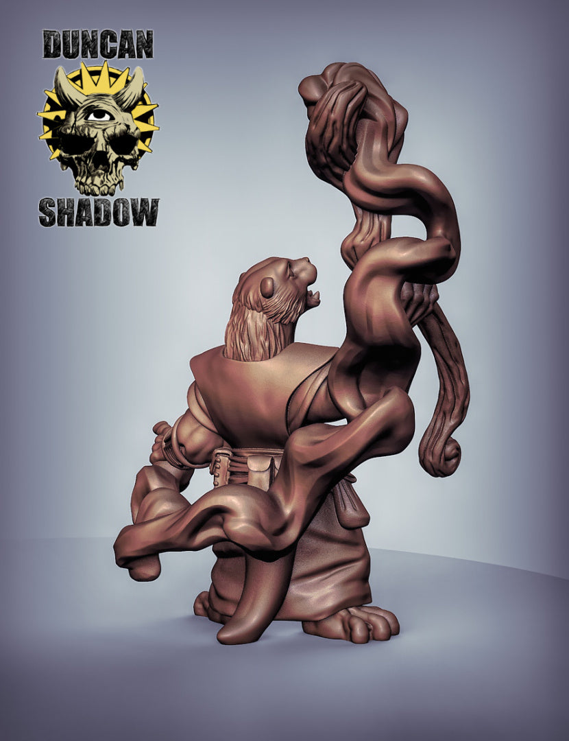 Otter Wizard 3D Models for Dungeons & Dragons & Board RPGs by Duncan Shadow