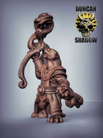 Otter Wizard 3D Models for Dungeons & Dragons & Board RPGs by Duncan Shadow