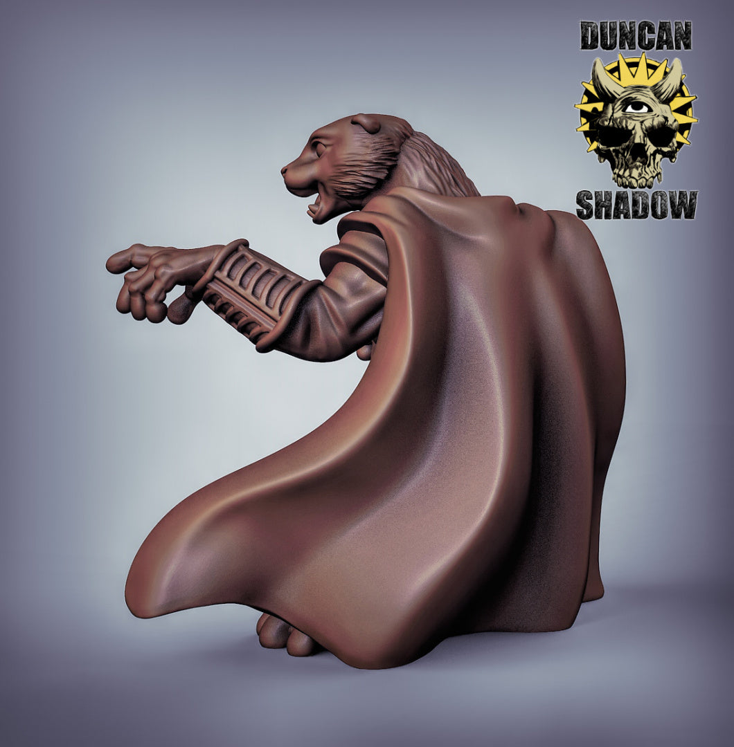 Otter Wizard 3D Models for Dungeons & Dragons & Board RPGs by Duncan Shadow