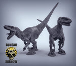 Velociraptors Dinosaur (no feathers) Resin Miniature for DnD | Tabletop Gaming