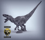 Velociraptors Dinosaur (no feathers) Resin Miniature for DnD | Tabletop Gaming