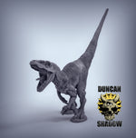 Velociraptors Dinosaur (no feathers) Resin Miniature for DnD | Tabletop Gaming